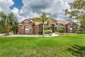 15706 Blue Star Ct, Odessa, FL 33556, Sold 02/28/25