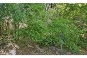 Pershing Ave Orlando, FL 32822 Sold 03/07/25