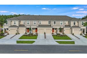 2119 Hallier Cv, Wesley Chapel, FL 33543, Sold 03/27/25