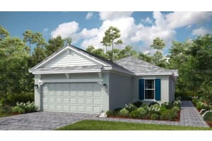 29563 Velletri Ln, Wesley Chapel, FL 33543, Sold 03/25/25