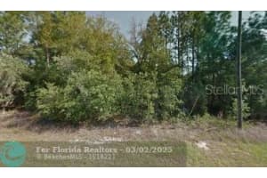 3243 W Cushion Dr Citrus Springs, FL 34433 Sold 03/25/25