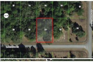 1803 E Artesian Ln Citrus Springs, FL 34434 Sold 03/25/25