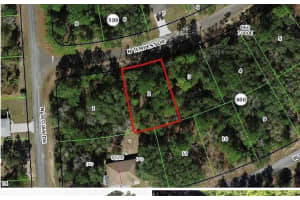 8415 N Tempest Dr Citrus Springs, FL 34433 Sold 03/25/25