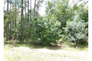 1810 S Griese Rd Avon Park, FL 33825 Sold 05/26/25