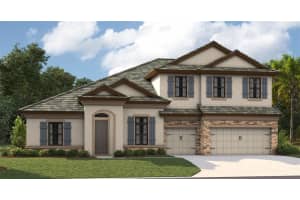 13486 Buffalo Mountain Ave, Riverview, FL 33579, Sold 06/03/25