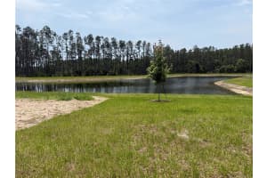 19680 Gladeview Wy, Land O' Lakes, FL 34638, Sold 06/05/25