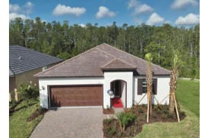 9739 Minnow Ray Dr, Land O' Lakes, FL 34638, Sold 06/17/25