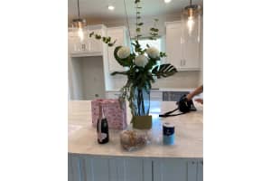 4751 Isonzo Way, Wesley Chapel, FL 33543, Sold 06/24/25