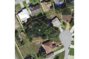 507 Magpie Ln Kissimmee, FL 34759 Sold 07/03/25