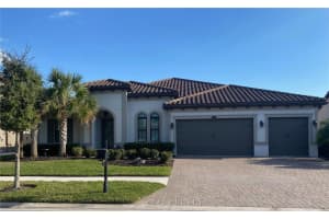 28431 Picana Ln, Wesley Chapel, FL 33543, Sold 07/03/25