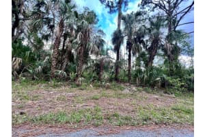 360 Manly St Port Charlotte, FL 33953 Sold 07/07/25