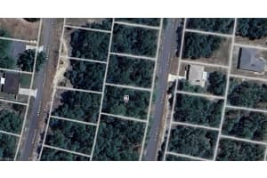 8174 N Triana Dr Citrus Springs, FL 34434 Sold 07/25/25