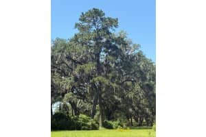 Tbd Nw 61st Lane Ocala, FL 34482 Sold 09/05/25