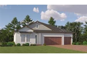 9518 Minnow Ray Dr, Land O' Lakes, FL 34638, Sold 08/29/25
