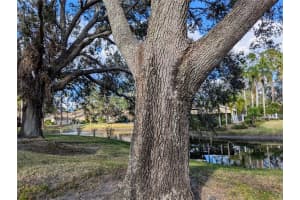 4081 Penshurst Park, Sarasota, FL 34235, Sold 09/12/25