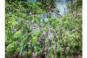 0 Dingus Ln Hudson, FL 34667 Sold 09/22/25
