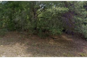 2396 W Magenta Dr Citrus Springs, FL 34434 Sold 11/07/25