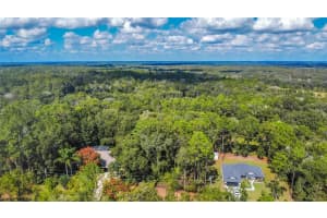 10157 N Athenia Dr Citrus Springs, FL 34434 Sold 11/12/25