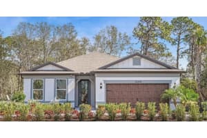 33268 Barnebrook Dr, Wesley Chapel, FL 33545, Sold 11/14/25