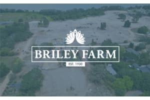 Pollard St, Oakland, FL 34760, Sold 11/19/25