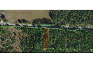 Poyner Oaks Rd N Polk City, FL 33868 Sold 01/12/26