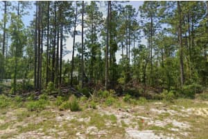 139 St Ocala, FL 34473 Sold 01/26/26