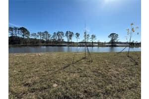 22588 Nebula Wy, Land O' Lakes, FL 34637, Sold 01/30/26