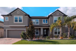 19314 Eagle Crk Ln, Tampa, FL 33647, Sold 02/17/26