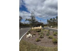18581 Skylake Village Dr Lutz, FL 33549 Sold 02/16/26