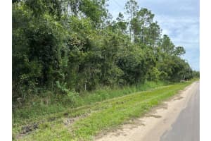 Lot 19 Reagan Blvd, LAKE WALES