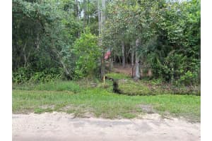 Lot 19 REAGAN BOULEVARD, LAKE WALES, FL 33898 - MLS#MFRK4902293