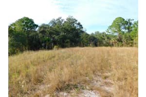PINETREE DR, LAKE WALES, FL 33898 Sold 02/07/25