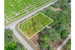 2859 COUNTY LINE ROAD, AVON PARK, FL 33825 Sold 04/17/25