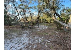 4020 GASDEN STREET, LAKE WALES, FL 33859 - MLS#MFRK4902830