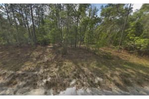 RESORT AVE, WEEKI WACHEE, FL 34614 - MLS#MFRK4903226