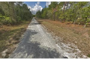 RESORT AVE, WEEKI WACHEE, FL 34614 - MLS#MFRK4903226