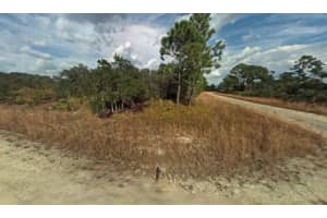 3131 KENNEDY AVENUE, LAKE PLACID, FL 33852 - MLS#MFRK4903257