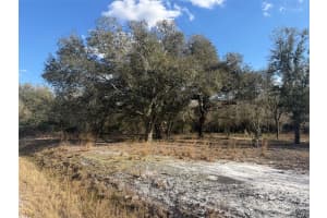 22134 264TH STREET, OKEECHOBEE, FL 34972 - MLS#MFRK4903279