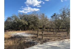 22134 264TH STREET, OKEECHOBEE, FL 34972 - MLS#MFRK4903279