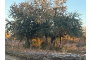 18344 284TH STREET, OKEECHOBEE, FL 34972 - MLS#MFRK4903283