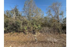 10826 4TH AVENUE, OKEECHOBEE, FL 34972 - MLS#MFRK4903286