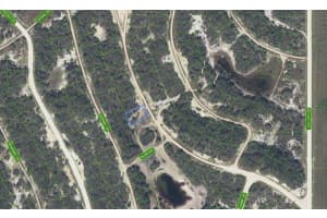 232 RHYTHM DRIVE, LAKE PLACID, FL 33852 - MLS#MFRK4903299