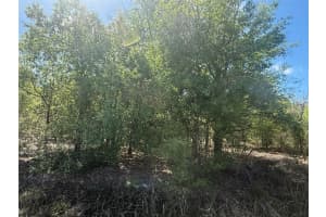 21668 266TH STREET, OKEECHOBEE, FL 34972 - MLS#MFRK4903314