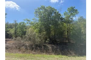 21668 266TH STREET, OKEECHOBEE, FL 34972 - MLS#MFRK4903314