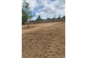 17231 268TH STREET, OKEECHOBEE, FL 34972 - MLS#MFRK4903326