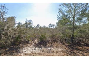 3235 DAHLIA DRIVE, LAKE PLACID, FL 33852 - MLS#MFRK4903337