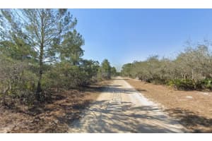3235 DAHLIA DRIVE, LAKE PLACID, FL 33852 - MLS#MFRK4903337