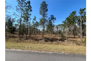 WATER OAK AVE, DUNNELLON, FL 34431 - MLS#MFRK4903373