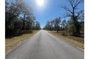 WATER OAK AVE, DUNNELLON, FL 34431 - MLS#MFRK4903373