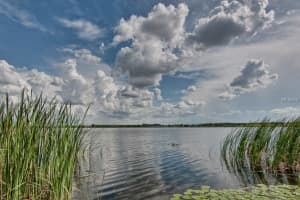 3603 Julius Estates Blvd, Winter Haven, FL 33881, Sold 12/20/16